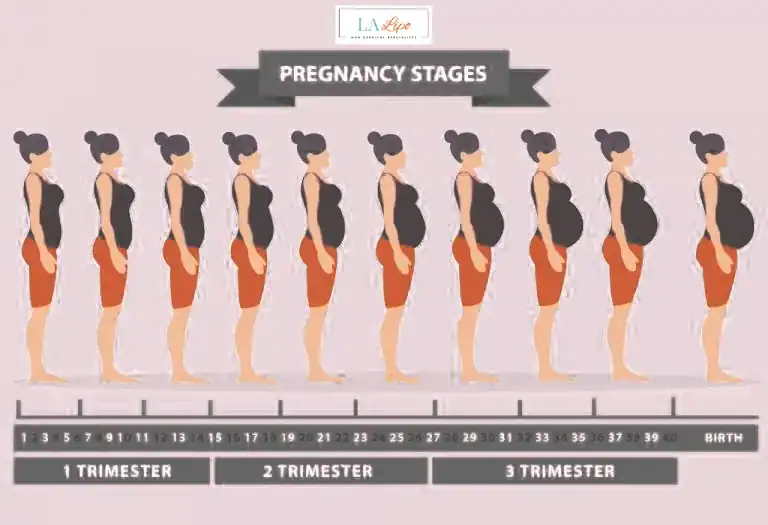 First Trimester (Weeks 1–12): Early Changes You Might Not Notice Cardiff